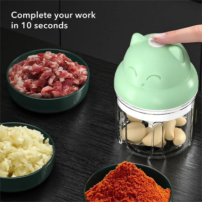 BN-LINK Electric Garlic Chopper, 250ML Mini Vegetable Chopper With USB Rechargeable, 304 Stainless Steel Blade, Portable Electric Mini Food Chopper for Garlic, Ginger, Onion, Chili, Vegetable