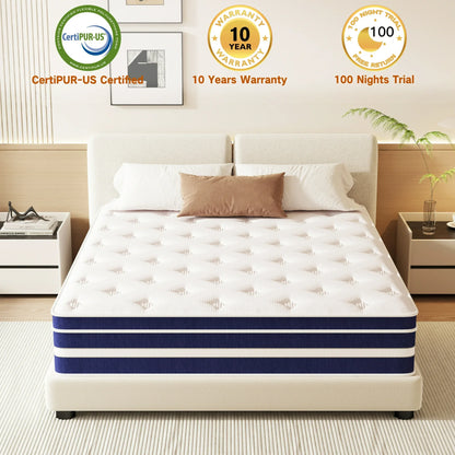 XLOLEHM Queen Mattress, 12 inch Memory Foam and Innerspring Hybrid Mattress in a Box, Medium Adult